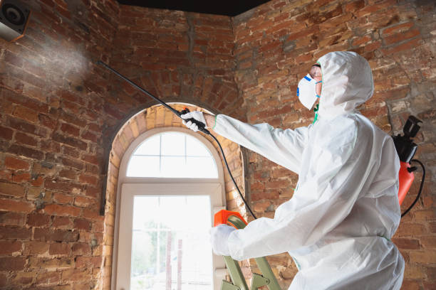 Best Forensic Mold Investigation  in Elm City, NC